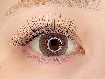 シェーヌ(CHAINE)/フラットセーブル 80本