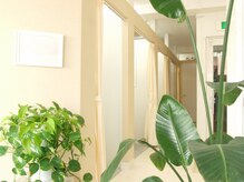 アイアロファ(i Arofa)/店内