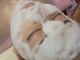 ハウオリ(Hauoli)の写真/【毛穴の汚れ/黒ずみに】マシンを使わず高濃度フェイシャル炭酸パックで毛穴のざらつきがスッキリ！