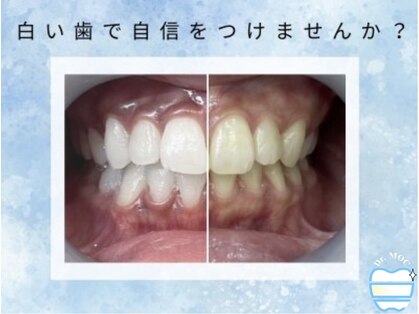 ドクターモック(Dr.MOC)の写真