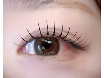 ロシェルア(Roshellua)/フラットラッシュ120本