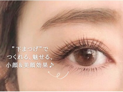 ティーラッシュ(T lash)の写真