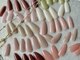 レイヴェンエーアール(Raven.AR)の写真