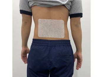 藤が丘名倉堂鍼灸接骨院/腰部メッシュテープ