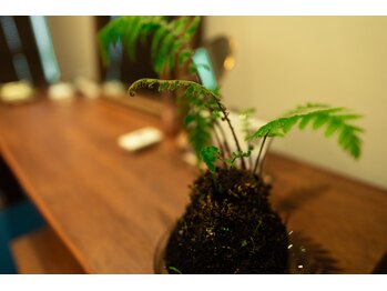 こきゅう 南青山/施術室内装