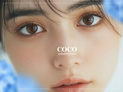ココ(coco)の写真