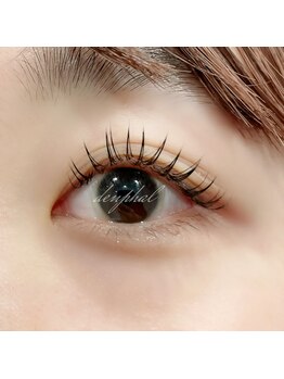 サロン ド デンファレ(salon de denphal)/フラットラッシュ/140本