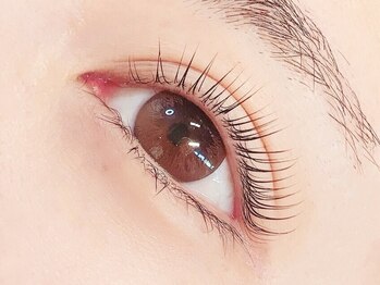 アイヴィー(EYEVY)の写真/高技術のスタッフがお目元をプロデュース！こだわりの高品質商材、国産グルー使用◎