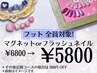 【全員対象】 Last Summer フットマグネットorフラッシュネイル 6800→5800円