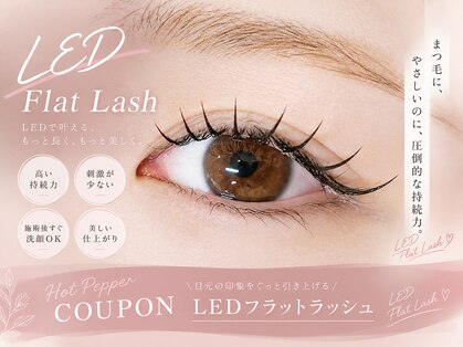 ディレット(DILETTO)の写真
