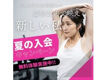 クラッシー(CLASSY)