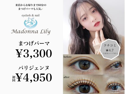 マドンナリリー(Madonna Lily)の写真