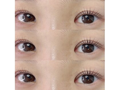 エムアイラッシュ(M.eyelash)の写真