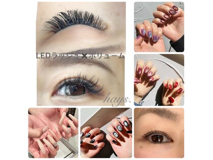 ヘイズ(hays.)の写真