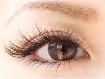 アイラッシュサロンK/下まつ毛