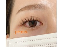 プリマ(Prima)/まつ毛パーマ