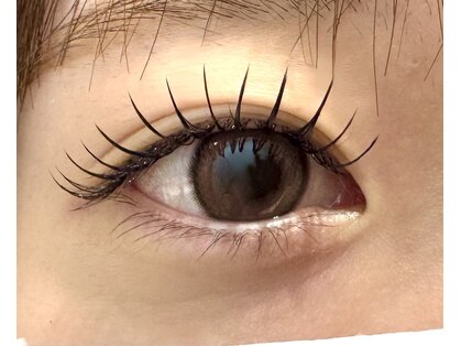 エン(En.)の写真