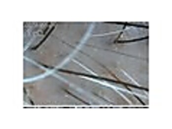 エルール トータルビューティ(Aileure total beauty)/育毛促進ケア　