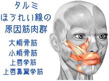 ナチュラルパーフェクトフェイス 新宿/約３０種類の表情筋にアプローチ