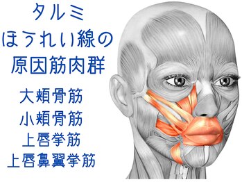 ナチュラルパーフェクトフェイス 新宿/約３０種類の表情筋にアプローチ