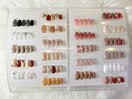 定額ネイルサンプル　2024冬