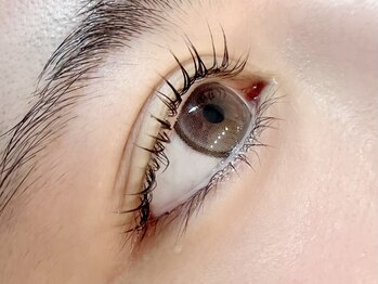 エスーガ(ESUGA)/