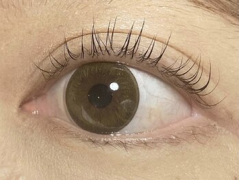 フレイムス アイラッシュ アンド ネイル(FRAMES)/アップワードラッシュリフト↑↑