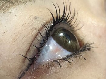 ピクシーボブ(Pixie Bob)/根本からしっかりカールスタイル