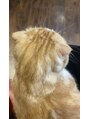 ペルルネイル(perle nail) 猫カフェ♪