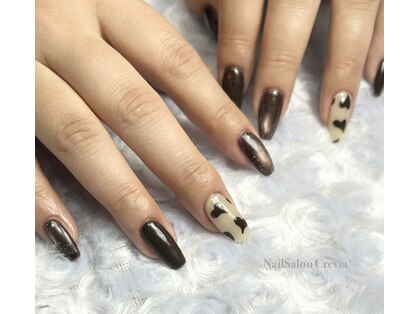 クレビア(crevia)の写真