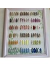 5月月替わりコース6600円
