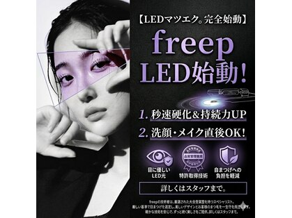 フリープシビル(freep sibil)の写真