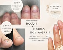 イロドリ(irodori)
