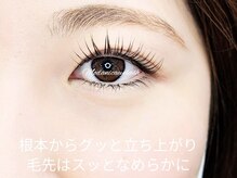 モダニカアイラッシュ(Modanica eyelash)/根元からバッチリ立ち上げ
