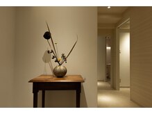 こきゅう 南青山/院室内装