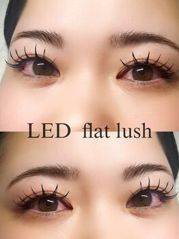 リアン(Lien)/flat lush LEDエクステ