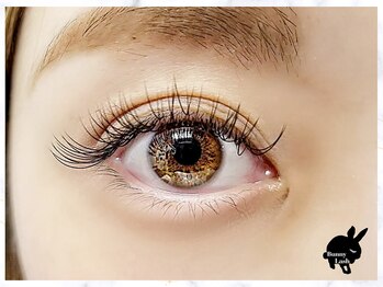 バニーラッシュ(Bunny Lash)/【シングルエクステ 120本】