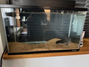 ジェンツ フナバシ(Gents.FUNABASHI)/店内の様子♪