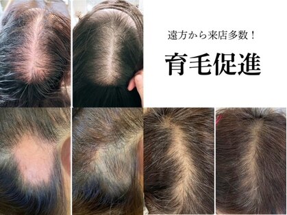 シンデレラ メンズ(Cinderella)の写真