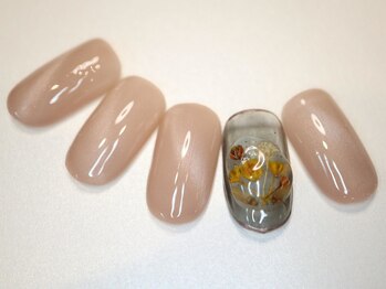 ピサラ(PISAR)/定額サンプル