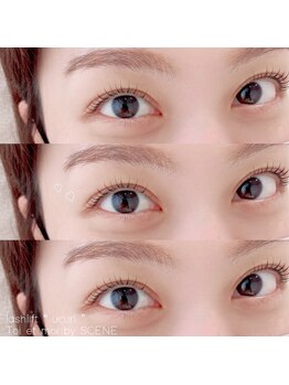 トワエモア バイ シーン(Toi et moi by SCENE)/ラッシュリフト/カール