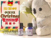 癒しのコアラ 一条 大宮店