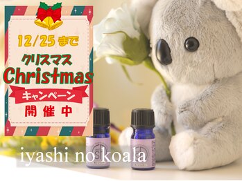 癒しのコアラ 一条 大宮店