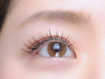 ラビット(Lovit)/フラットラッシュつけ放題