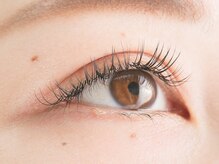 ソポロマ(SopoLoma)/セーブルラッシュ