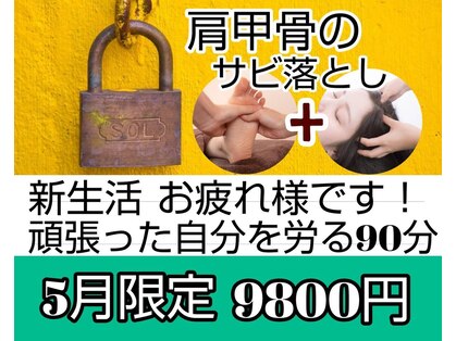 ホグステの写真