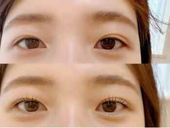 ランド(LAND)/Parisienne lashlift