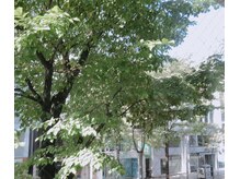 ポーラ ザ ビューティ 札幌大通り店(POLA THE BEAUTY)/窓