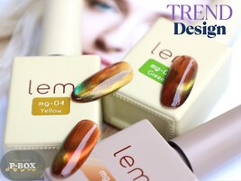 マグネットフレンチ☆全18カラー