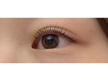 ペルシャ(Persian)/パリジェンヌ【坂戸/若葉】